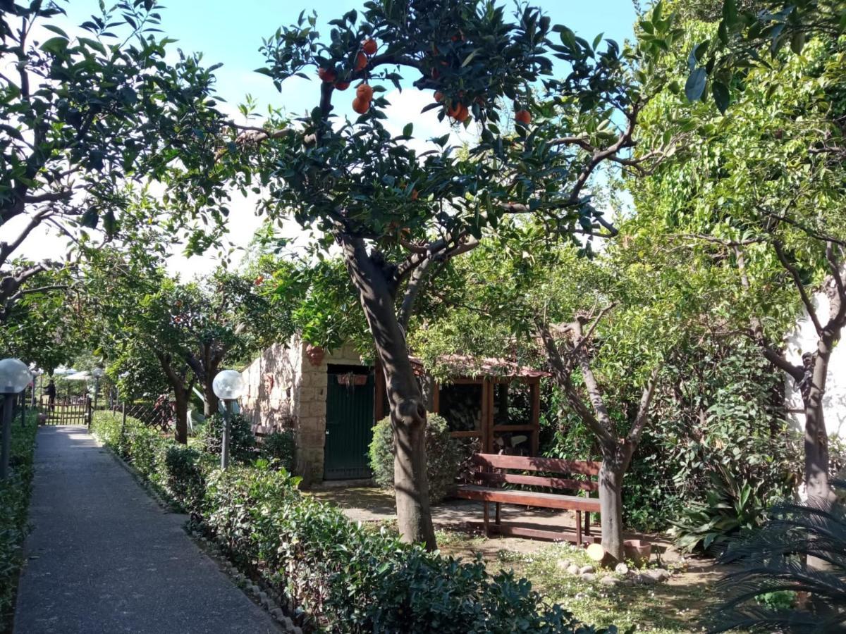 Residenza Caserta Sud - Appartamento Con Giardino Экстерьер фото