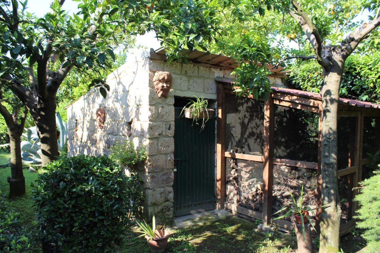 Residenza Caserta Sud - Appartamento Con Giardino Экстерьер фото