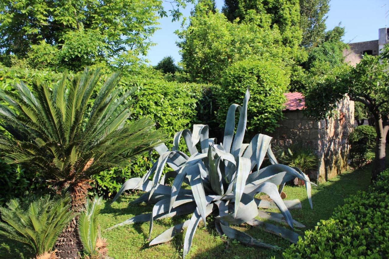 Residenza Caserta Sud - Appartamento Con Giardino Экстерьер фото